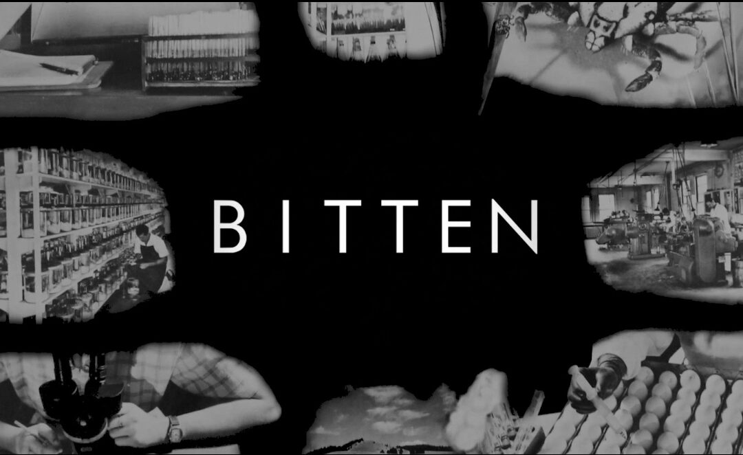 LivLyme Summit premiers the trailer for Bitten: The Secret History of Lyme & Biological Weapons